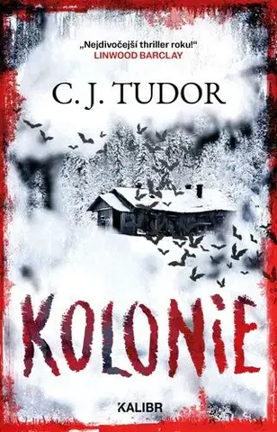 Detektívky, trilery, horory Kolonie - C. J. Tudor