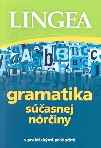 Gramatika a slovná zásoba Gramatika súčasnej nórčiny - s praktickými príkladmi