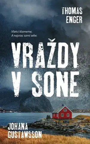 Detektívky, trilery, horory Vraždy v Sone - Thomas Enger,Johana Gustawsson,Ladislav Holiš