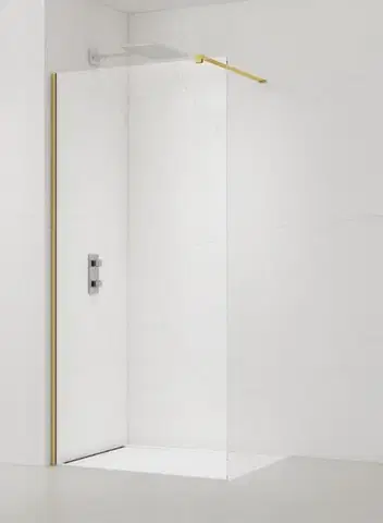 Sprchové dvere Sprchová zástena SAT Walk-in 60 cm SATBWI60PRZ SATBWI60PRZ