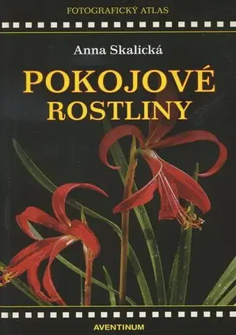 Izbové rastliny POKOJOVE ROSTLINY FOTOGRAF ATL