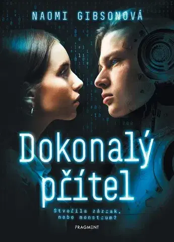 Young adults Dokonalý přítel - Naomi Gibsonová,Adriana Pavliková