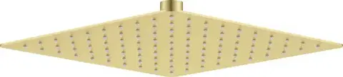 Kúpeľňové batérie DEANTE - Cascada kartáčované zlato Sprchová hlavica - 250x250 mm NAC_R02K