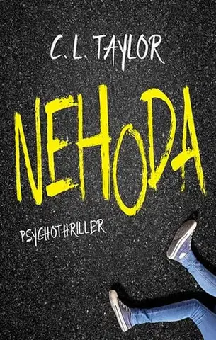 Detektívky, trilery, horory Nehoda - Cathryn L. Taylor