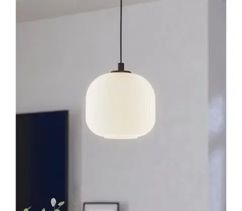 Svietidlá Eglo 99366 - Luster na lanku MANTUNALLE 1xE27/40W/230V 99366