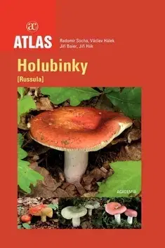 Príroda Holubinky - Radomír Socha