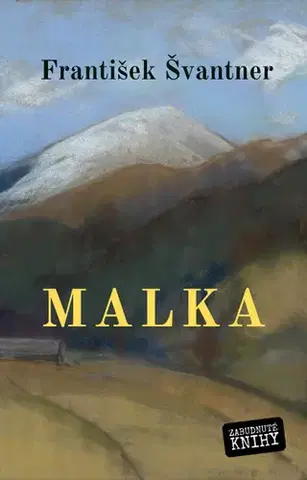 Slovenská beletria Malka - František Švantner