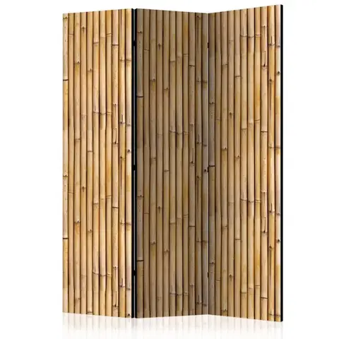 Paravány Paraván Amazonian Wall Dekorhome
