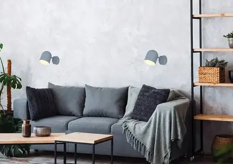 Nástenné svetlá Nástenná lampa 1X40W E27 matná sivá AZURO