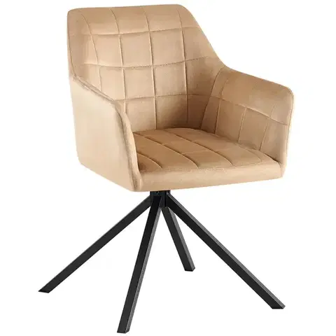 Čalúnené stoličky Stolička Patti 9531 bez