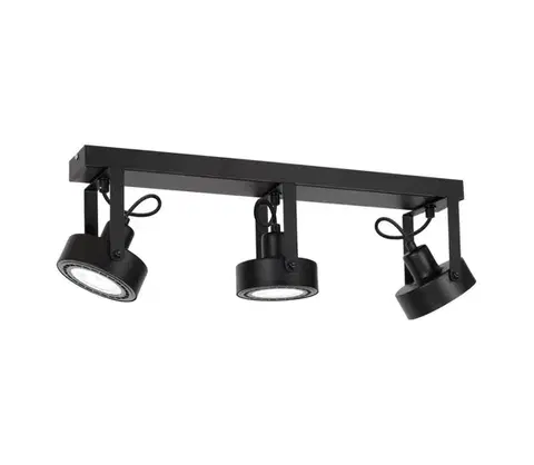 Svietidlá  Stropné bodové svietidlo VIVA 3xGU10-AR111/15W/230V 1222