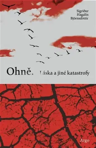 Romantická beletria Ohně. Láska a jiné katastrofy - Sigrídur Hagalín Björnsdóttir