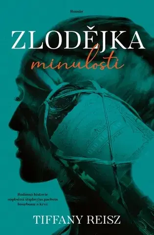 Svetová beletria Zlodějka minulosti - Tiffany Reisz