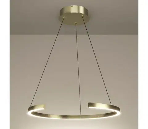 Svietidlá Eglo 390516 - stmievateľný LED luster na lane LABONETE LED/24,8W/230V zlatý + DO 390516