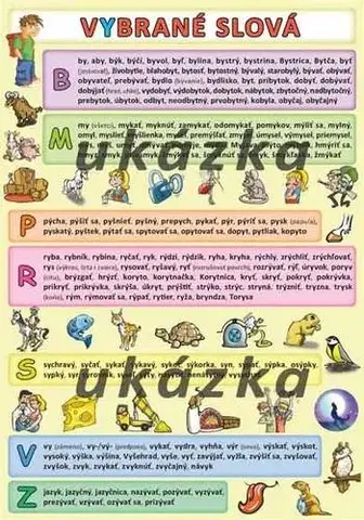 Učebnice pre ZŠ - ostatné Vybrané slová - Petr Kupka