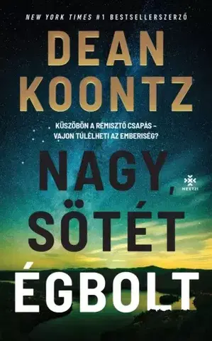 Detektívky, trilery, horory Nagy, sötét égbolt - Dean Koontz