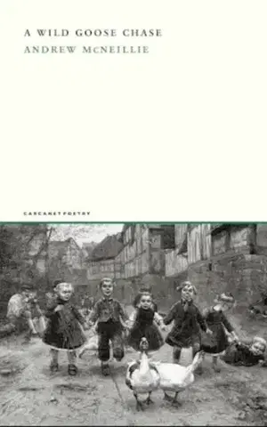 Poézia A Wild Goose Chase - Andrew McNeillie