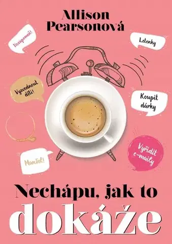 Svetová beletria Nechápu, jak to dokáže - Allison Pearson