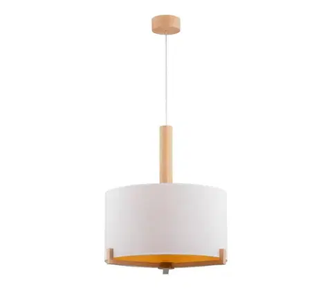 Svietidlá  Luster na lanku FORTA 1xE27/40W/230V 61199