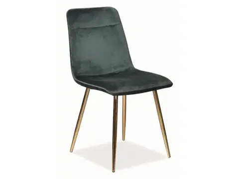 Kuchynské stoličky BIOLA jedálenská stolička, zelená, čierna