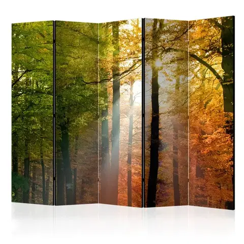 Paravány Paraván Forest Colours Dekorhome
