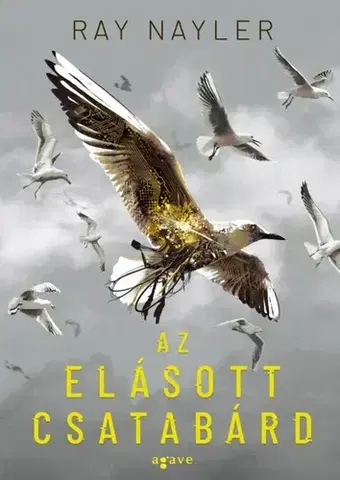 Sci-fi a fantasy Az elásott csatabárd - Ray Nayler