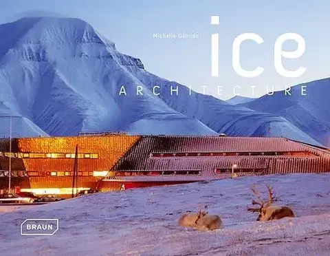 Cudzojazyčná literatúra Ice Architecture - Michelle Galindo