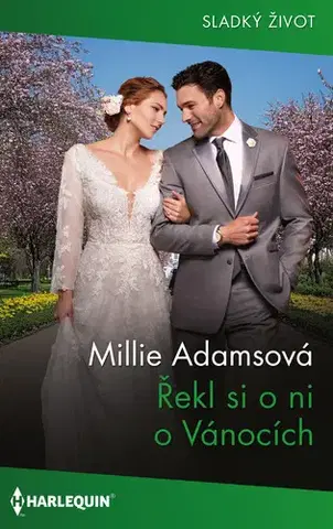 Romantická beletria Řekl si o ni o Vánocích - Millie Adams