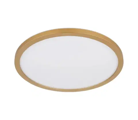 Svietidlá Globo 41562-18MM - LED Stm. strop. svietidlo SAPANA LED/18W/230V IP44 41562-18MM