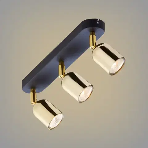 Lampy do obývačky Stropné bodové svietidlo  Top Gold 6032 Ls3