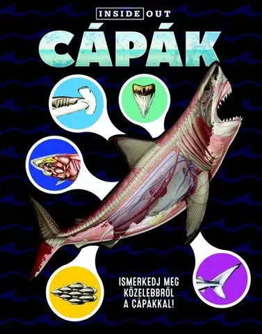 Príroda Cápák - Ismerkedj meg közelebbről a cápákról! - Sophia Willmann