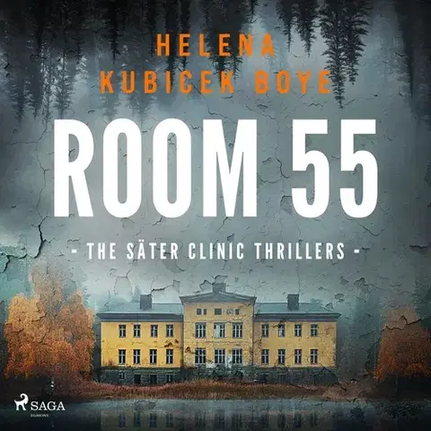 Detektívky, trilery, horory Saga Egmont Room 55 (EN)