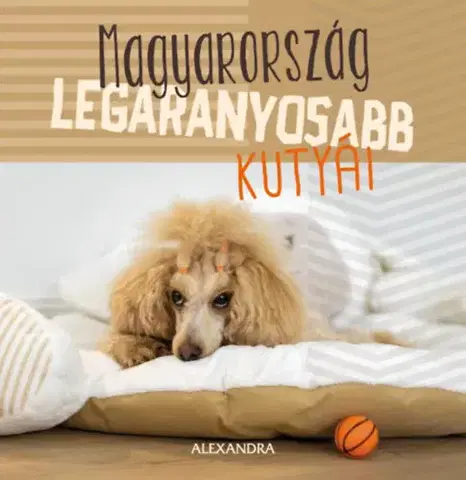 Citáty, výroky, aforizmy, príslovia, porekadlá Magyarország legaranyosabb kutyái - 365 gondolat