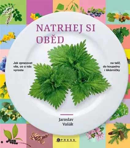 Zdravá výživa, diéty, chudnutie Natrhej si oběd - Jaroslav Vašák
