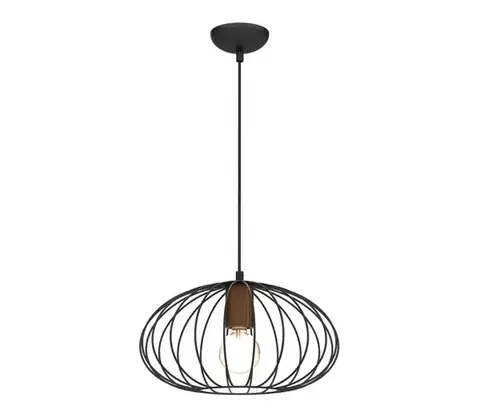 Svietidlá  Luster na lanku MERIDIANO 1xE27/60W/230V MLP7959