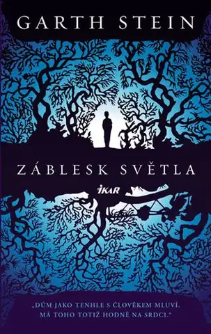 Romantická beletria Záblesk světla - Garth Stein