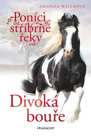 Pre deti a mládež - ostatné Poníci od stříbrné řeky: Divoká bouře - Amanda Willsová