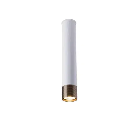 Svietidlá -  8251 - Bodové svietidlo EIDO 1xGU10/10W/230V biela/zlatá 8251
