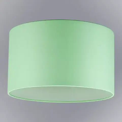 Moderné lampy do obývačky Tienidlo valček 9696 Mäta D40