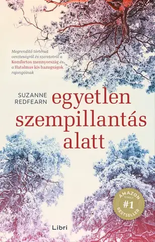 Svetová beletria Egyetlen szempillantás alatt - Suzanne Redfearnová