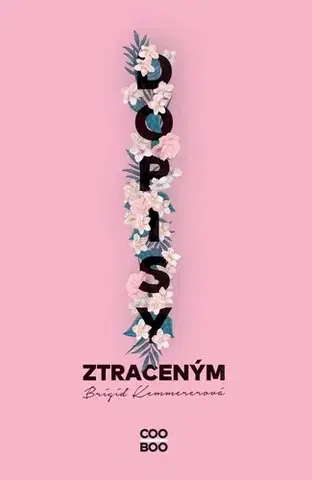 Young adults Dopisy ztraceným, 2. vydání - Brigid Kemmerer