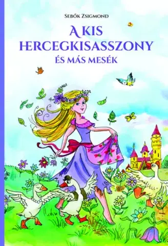Rozprávky A kis hercegkisasszony és más mesék - Zsigmond Sebők
