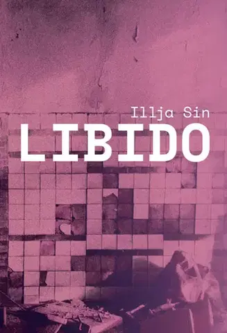 Beletria - ostatné Libido - Ilja Sin