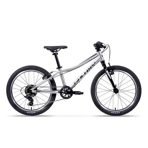 Bicykle Odľahčený detský bicykel Galaxy Cetis Lite 20" 9.0 • 115-135 cm • 8,3 kg strieborná - 10" (115-135 cm)