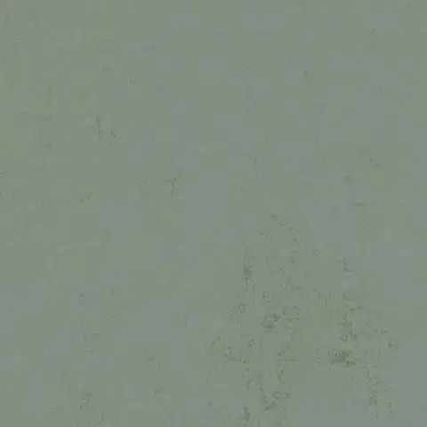 Marmoleum solid concrete FORBO Marmoleum solid concrete Tundra 3751