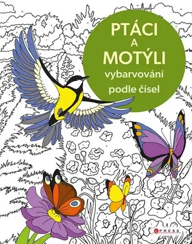 Kreslenie, maľovanie Vybarvování podle čísel: Ptáci a motýli