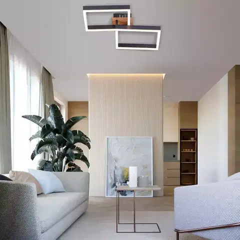Moderné lampy do obývačky Stropnica ENKEL 20W AC-ENLED20WO LED PL2