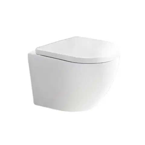 Doplnky do kúpeľne Mereo WC závesné kapotované, RIMLESS, 490x370x360, keramické, vr. sedátka CSS126 VSD82S2