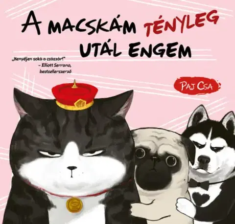 Komiksy Macska és Kutya 2: A macskám tényleg utál engem - Paj Csa,Edit Molnár