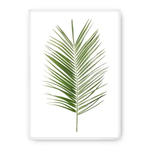Obrazy Plagát Palm Leaf Green